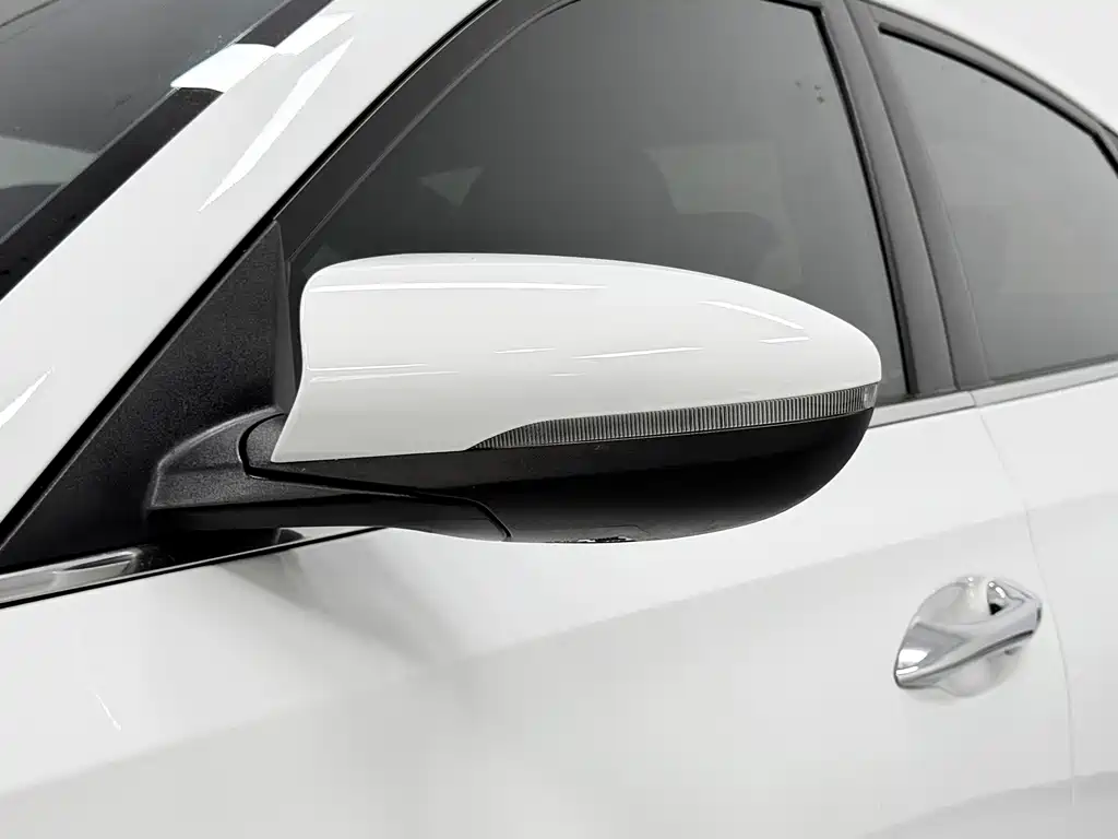 Hyundai Fista — фото 10