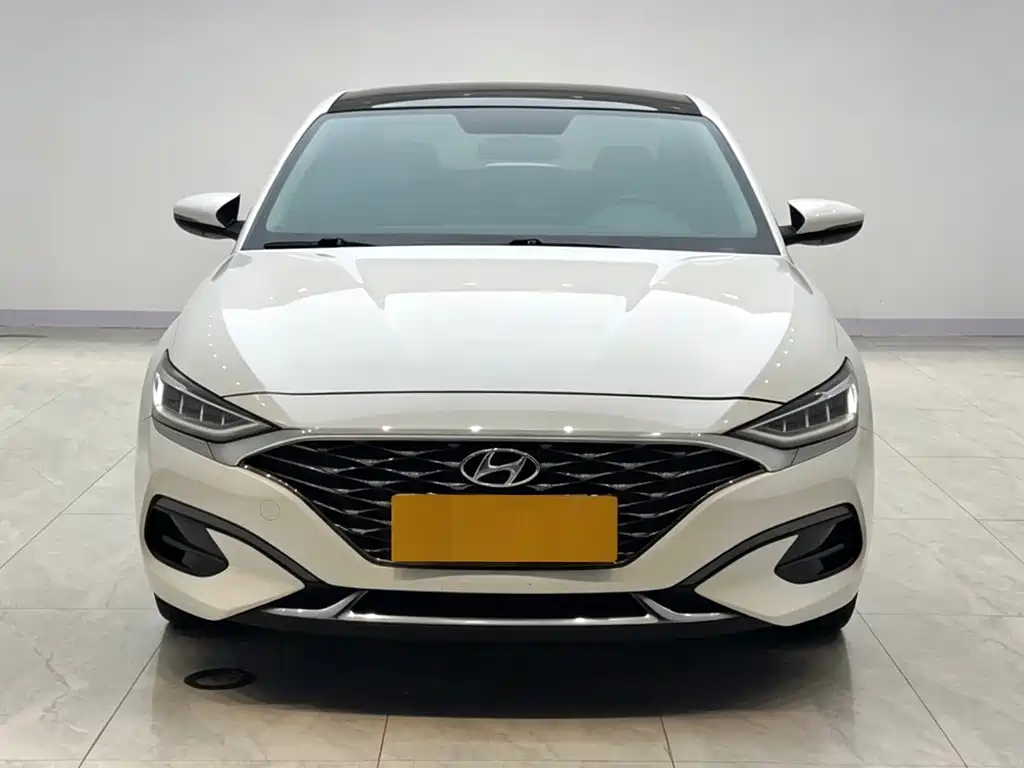 Hyundai Fista — фото 2
