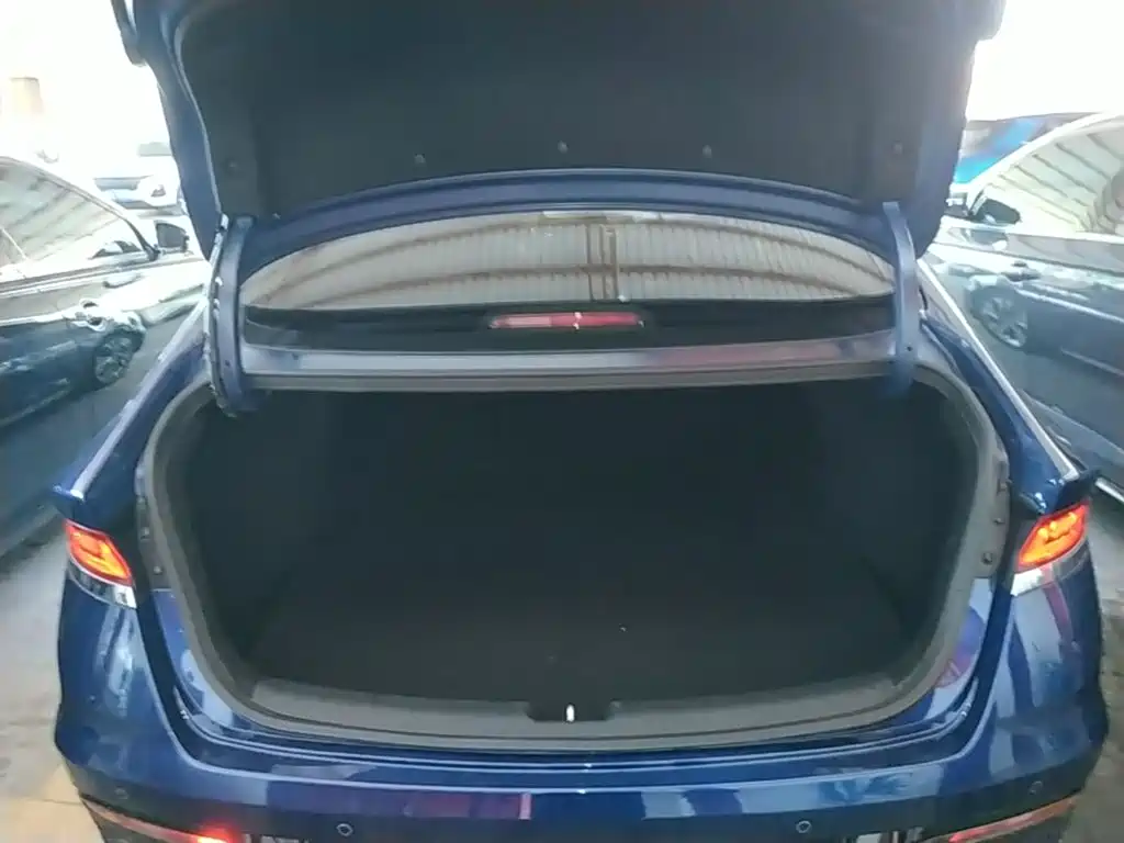 Hyundai Fista — фото 19