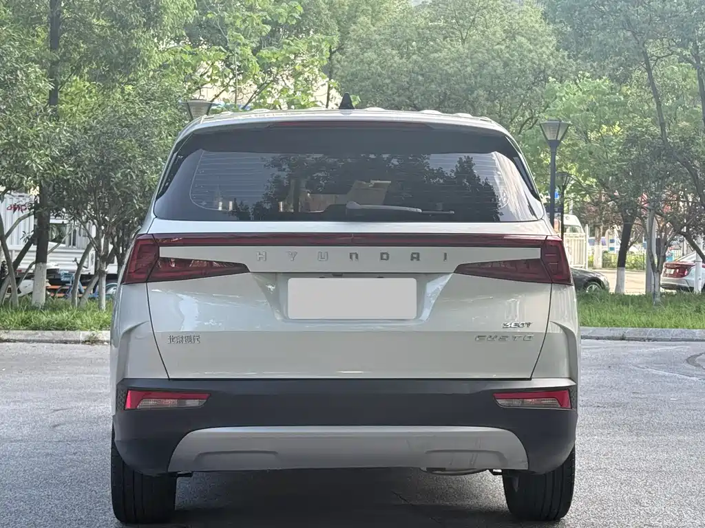 Hyundai Custo — фото 16