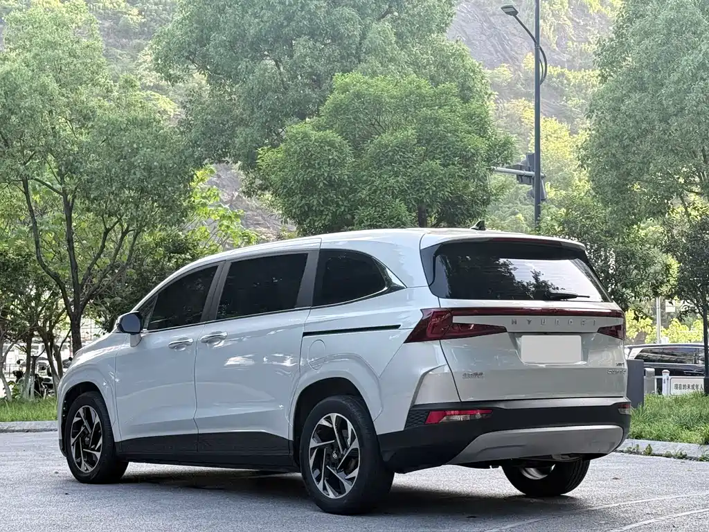 Hyundai Custo — фото 17