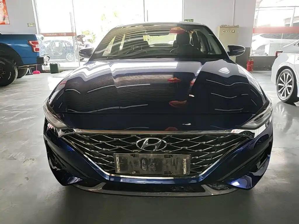 Hyundai Fista — фото 3