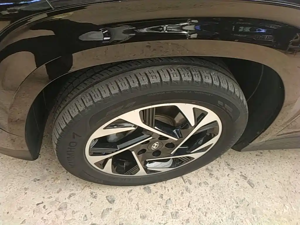 Hyundai Custo — фото 23