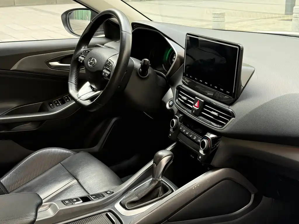 Hyundai Fista — фото 16