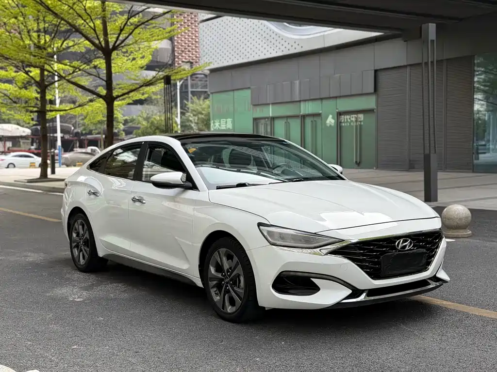 Hyundai Fista — фото 3