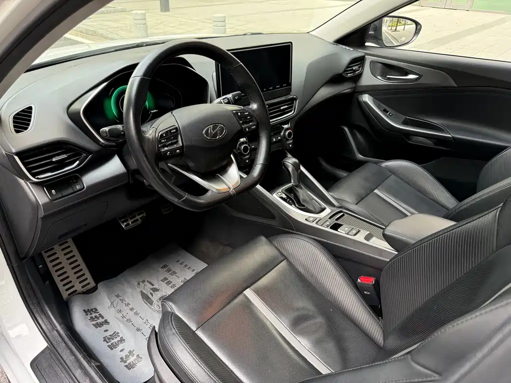 Hyundai Fista — фото 10