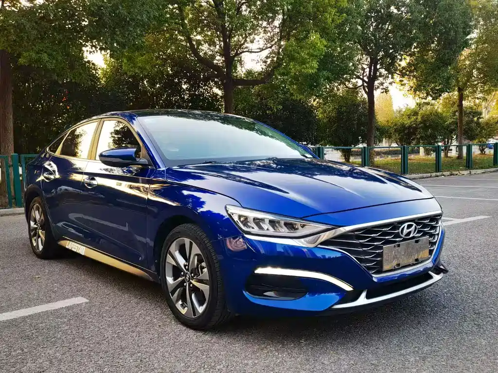 Hyundai Fista — фото 2
