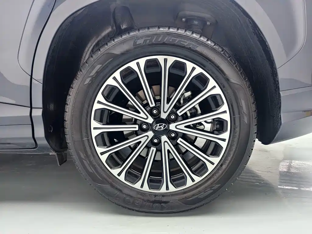 Hyundai Custo — фото 13