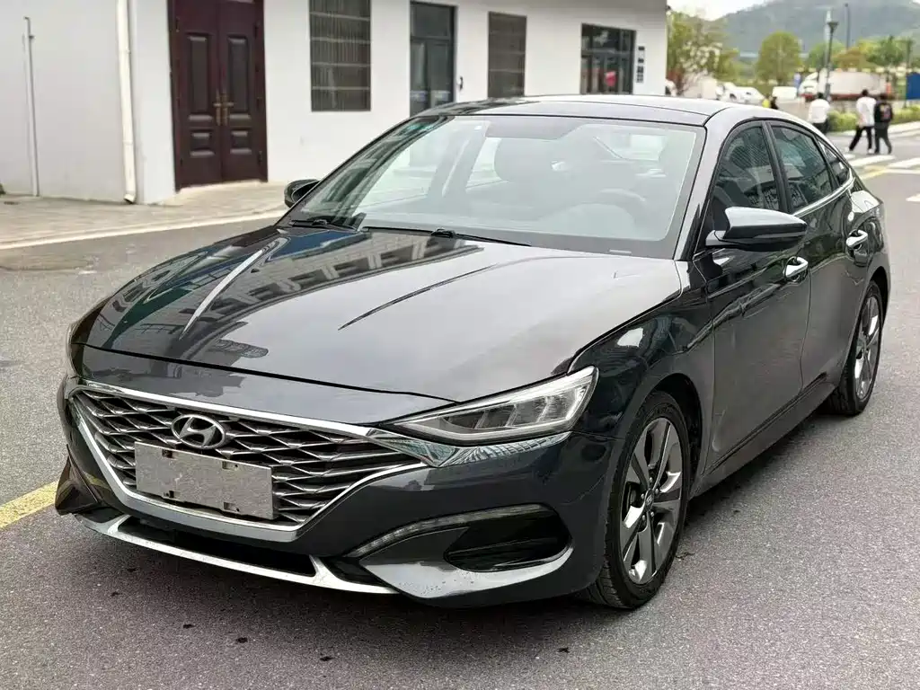 Hyundai Fista — фото 3