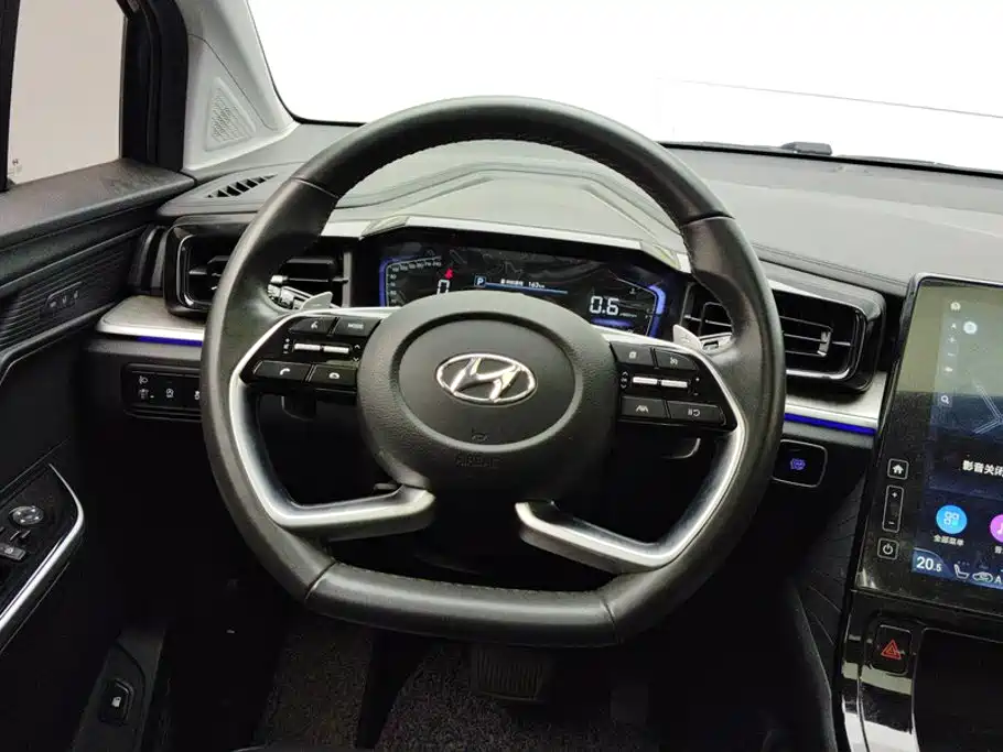Hyundai Custo — фото 15