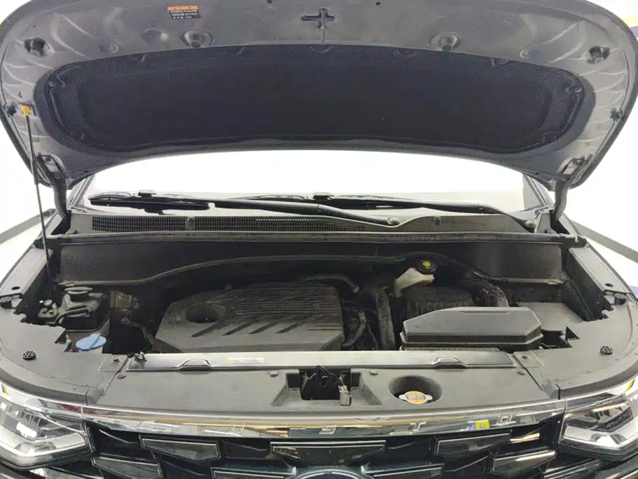 Hyundai Custo — фото 10