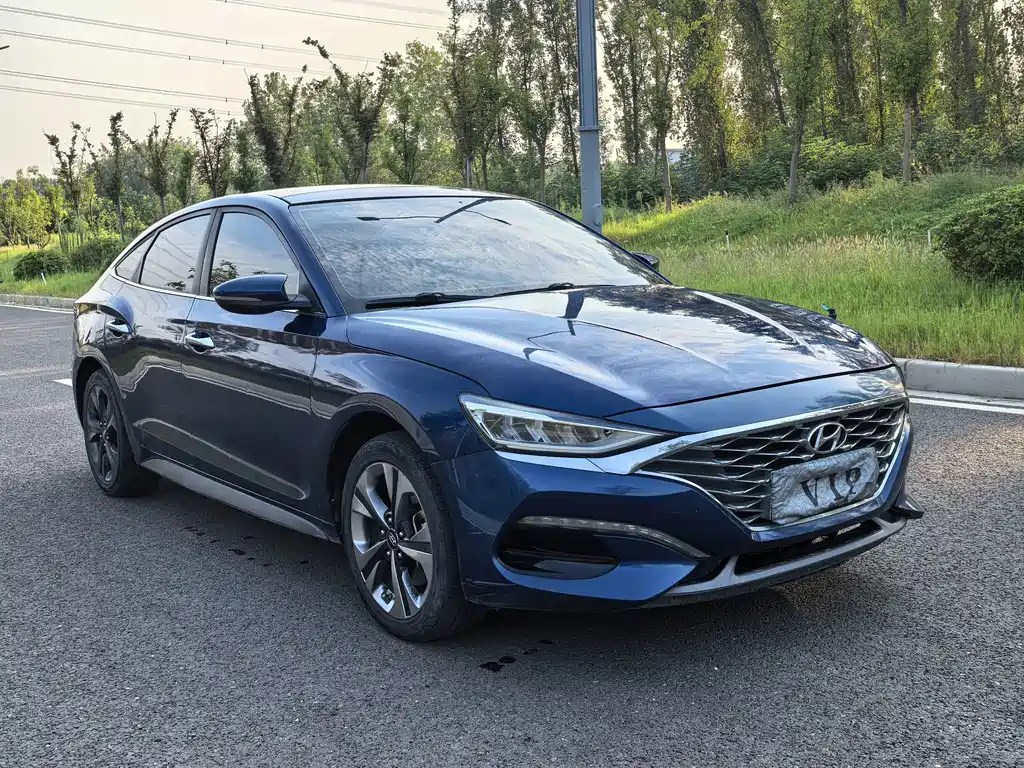 Hyundai Fista — фото 2
