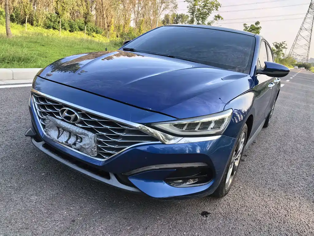Hyundai Fista — фото 4