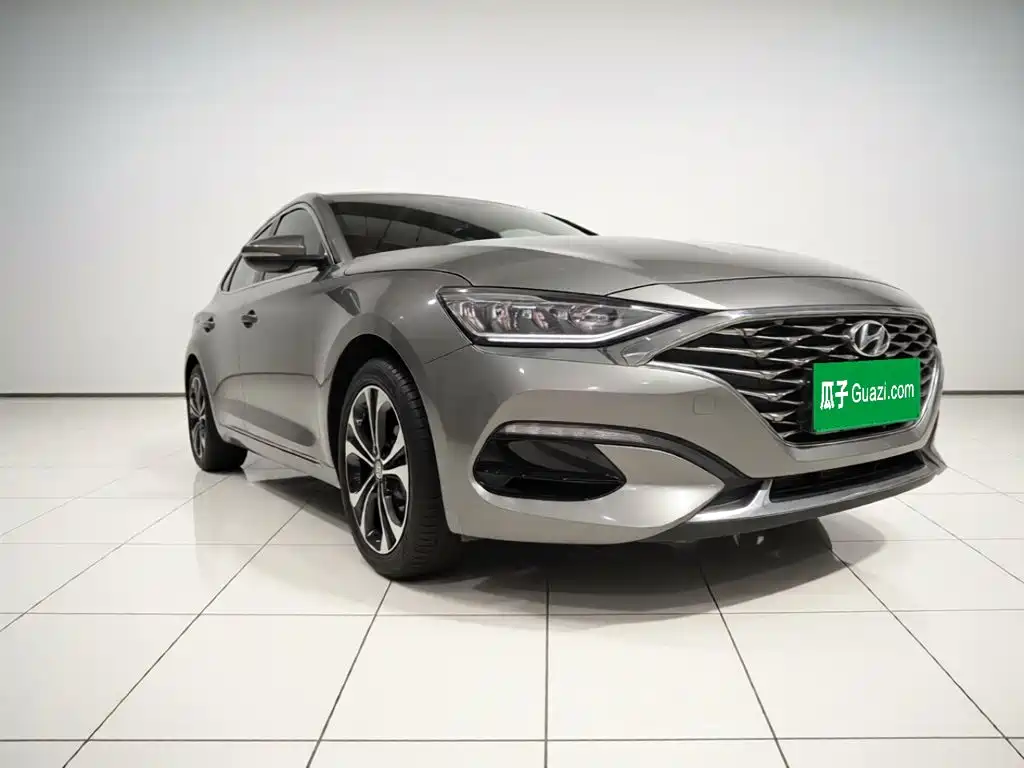 Hyundai Fista — фото 3