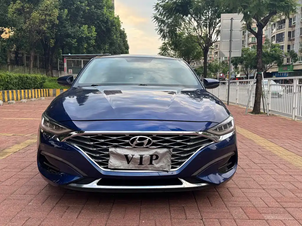 Hyundai Fista — фото 3