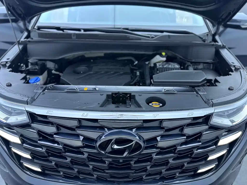 Hyundai Custo — фото 36