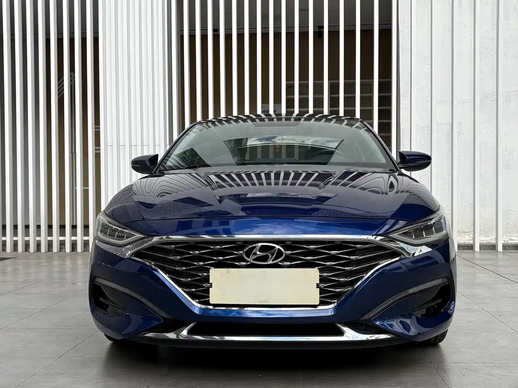 Hyundai Fista — фото 2