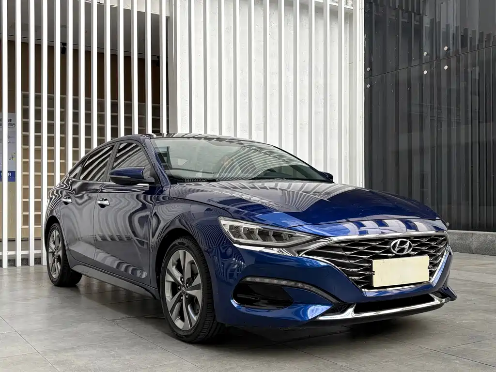 Hyundai Fista — фото 3