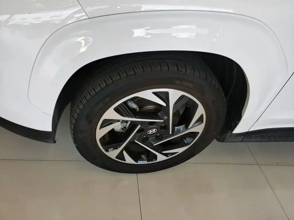 Hyundai Custo — фото 23