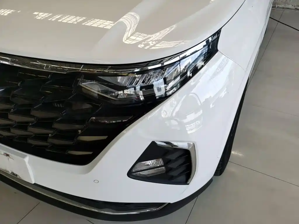 Hyundai Custo — фото 24