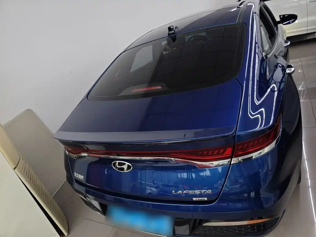 Hyundai Fista — фото 14