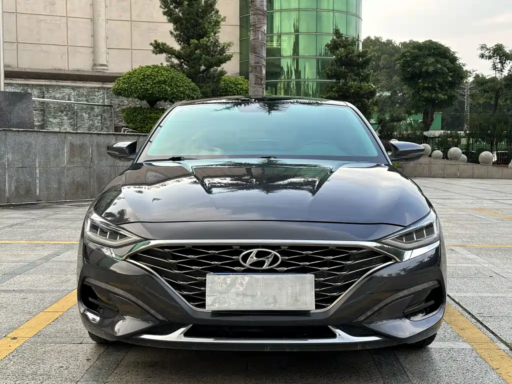 Hyundai Fista — фото 2