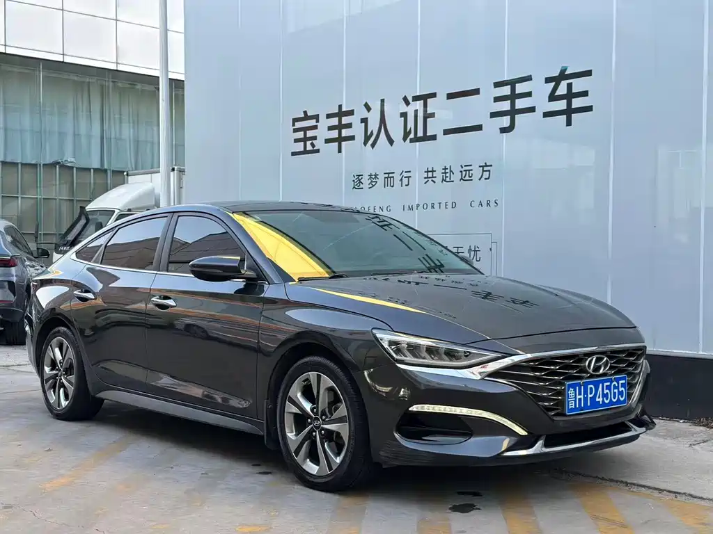 Hyundai Fista — фото 3