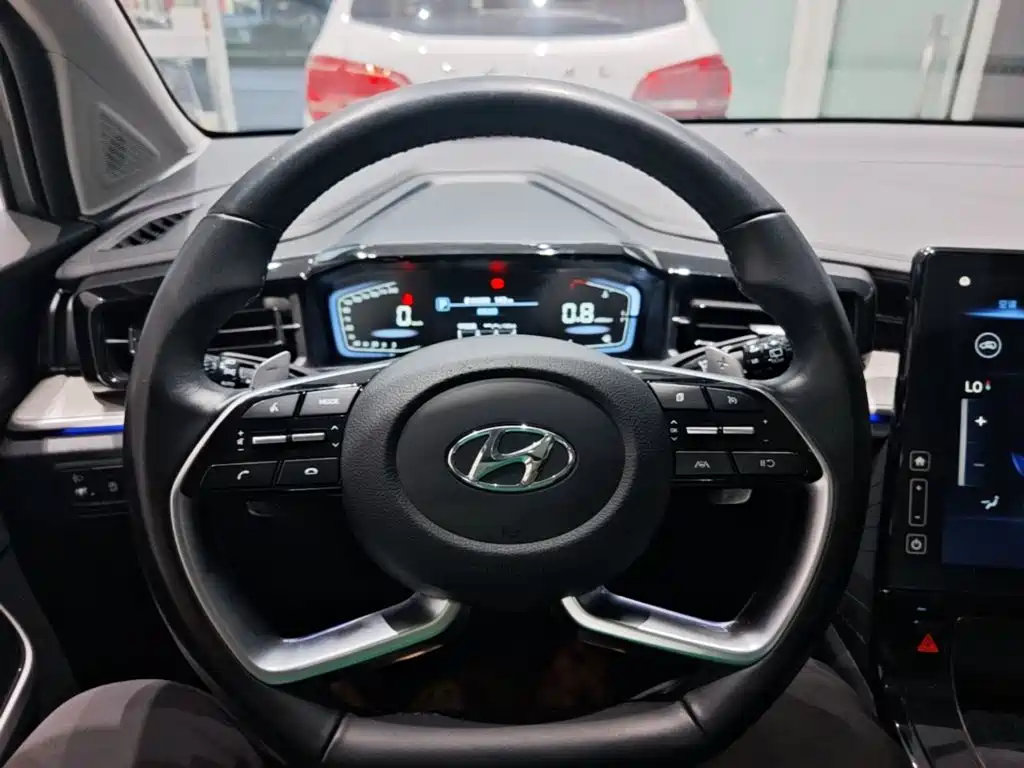 Hyundai Custo — фото 11