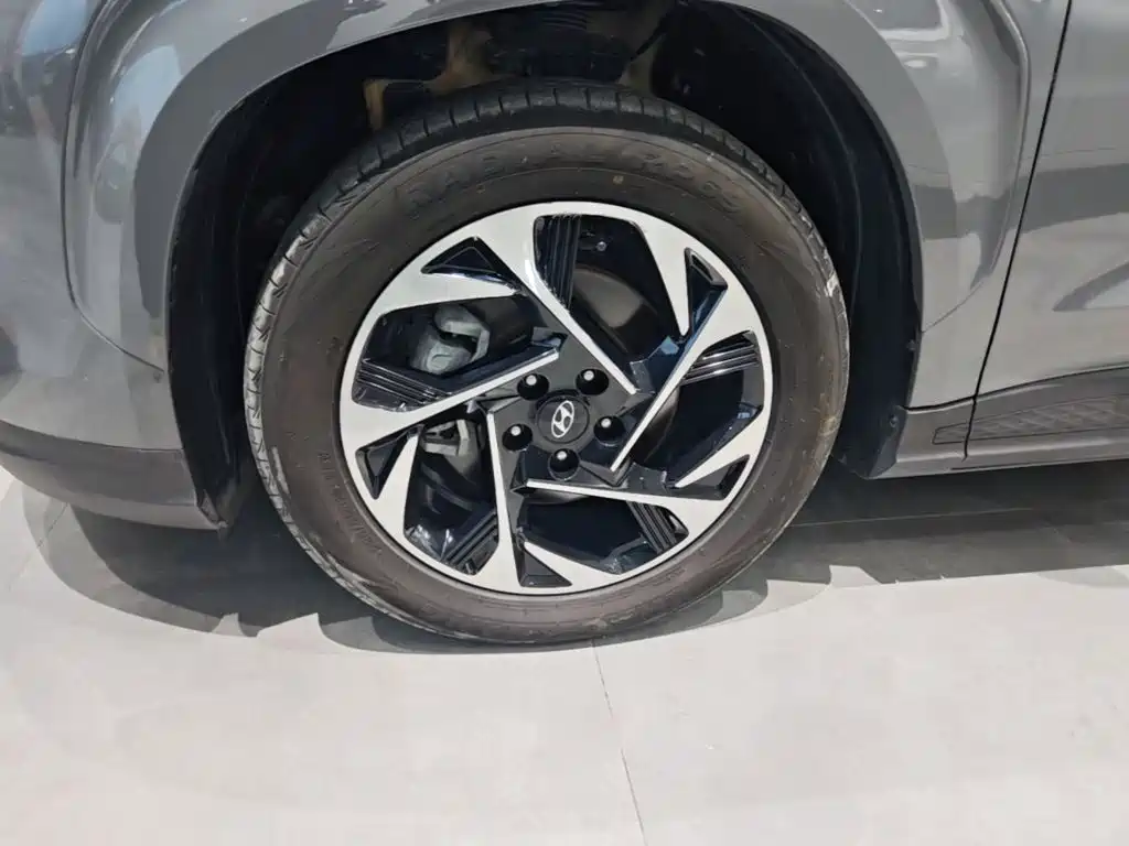 Hyundai Custo — фото 23