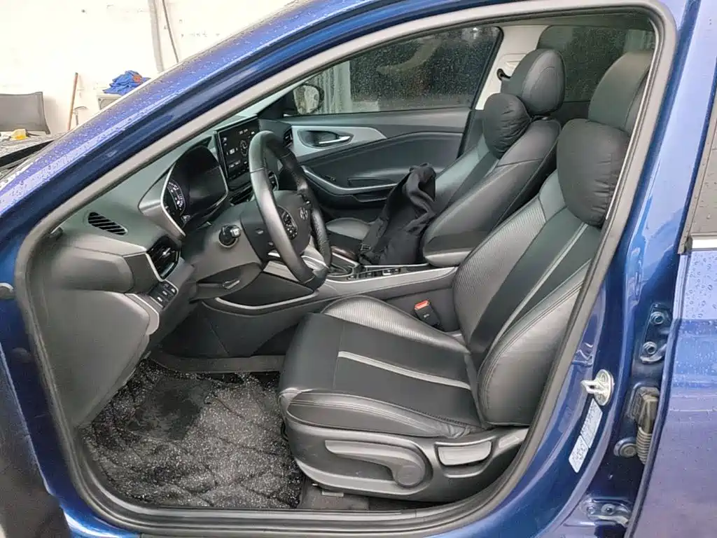 Hyundai Fista — фото 11