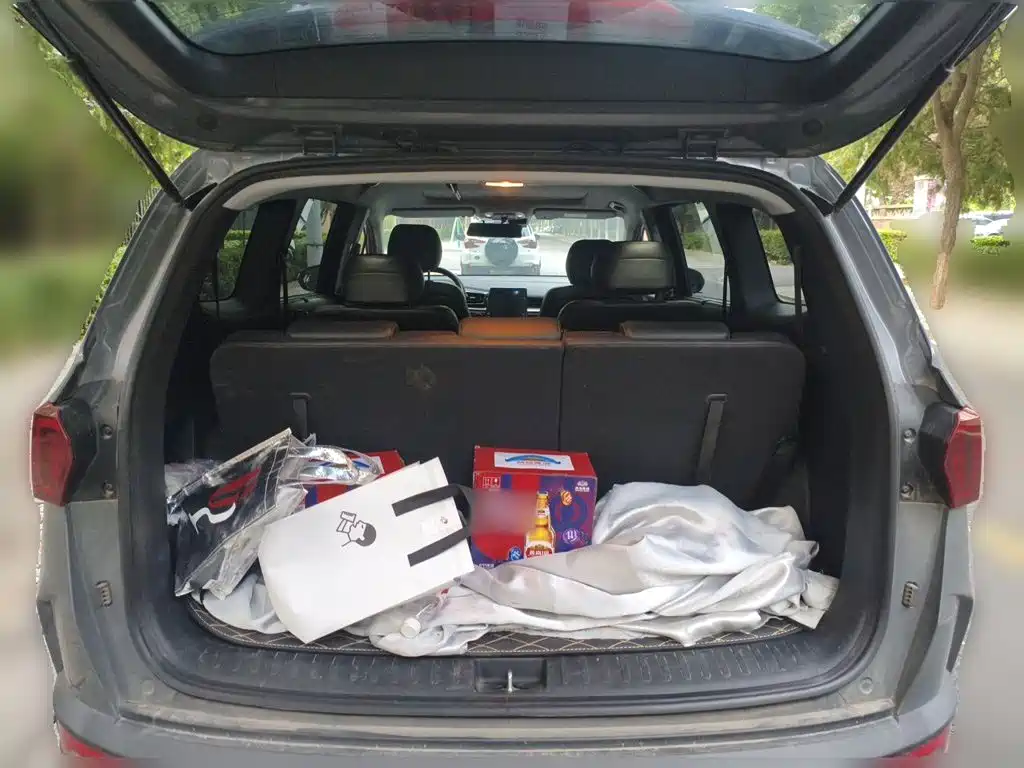 Hyundai Custo — фото 10