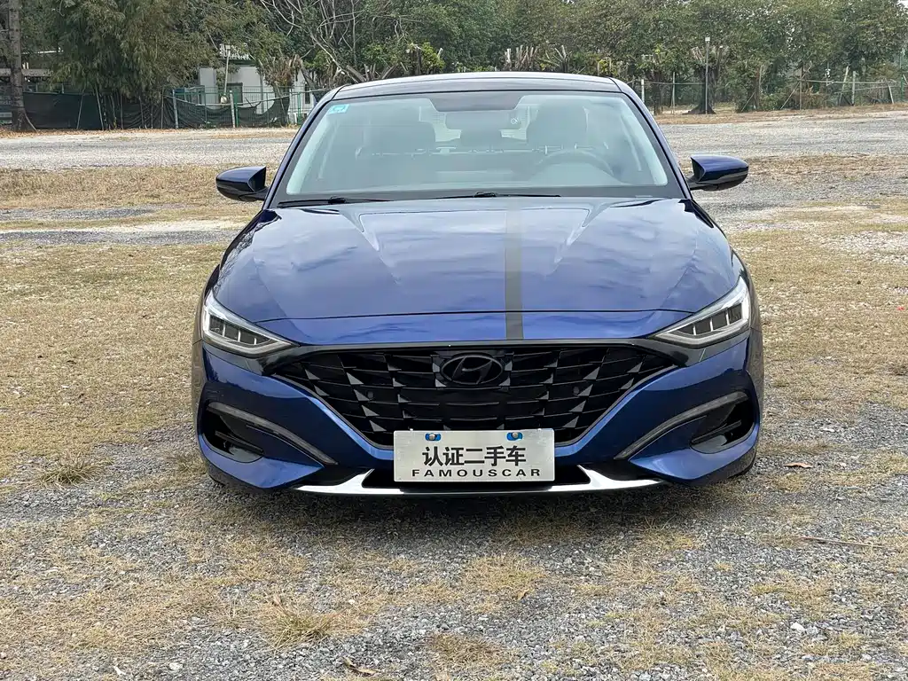Hyundai Fista — фото 2