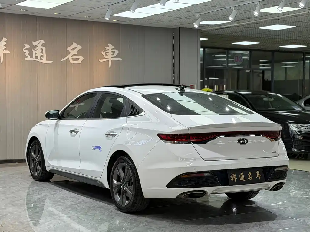 Hyundai Fista — фото 15
