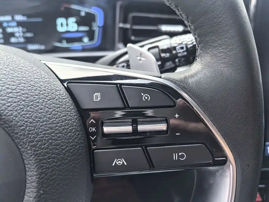 Hyundai Custo — фото 17