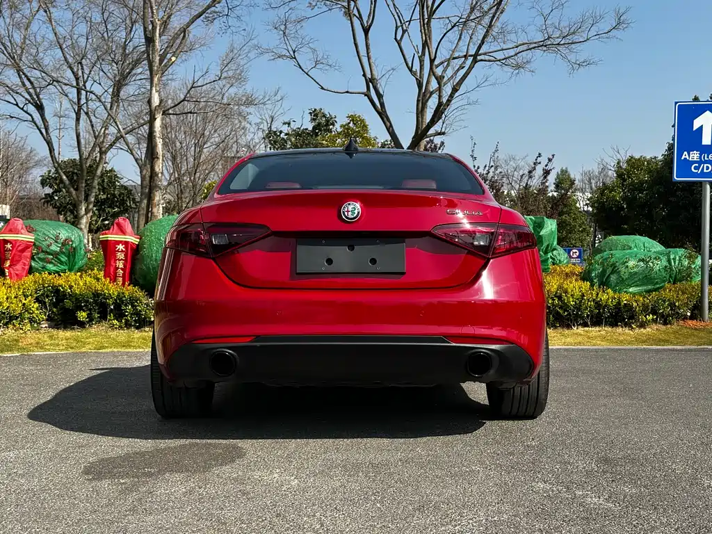 Alfa Romeo Giulia — фото 15