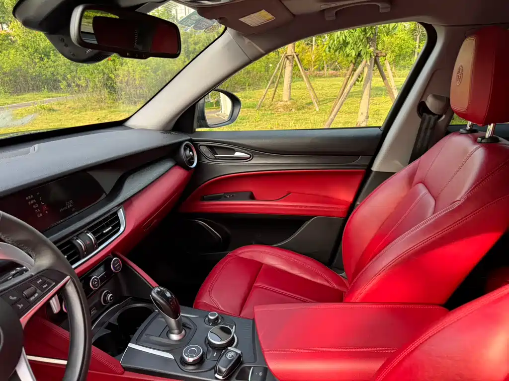 Alfa Romeo Stelvio — фото 11