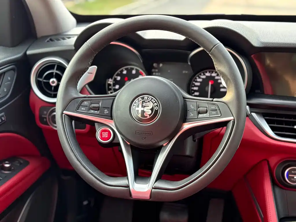 Alfa Romeo Stelvio — фото 19