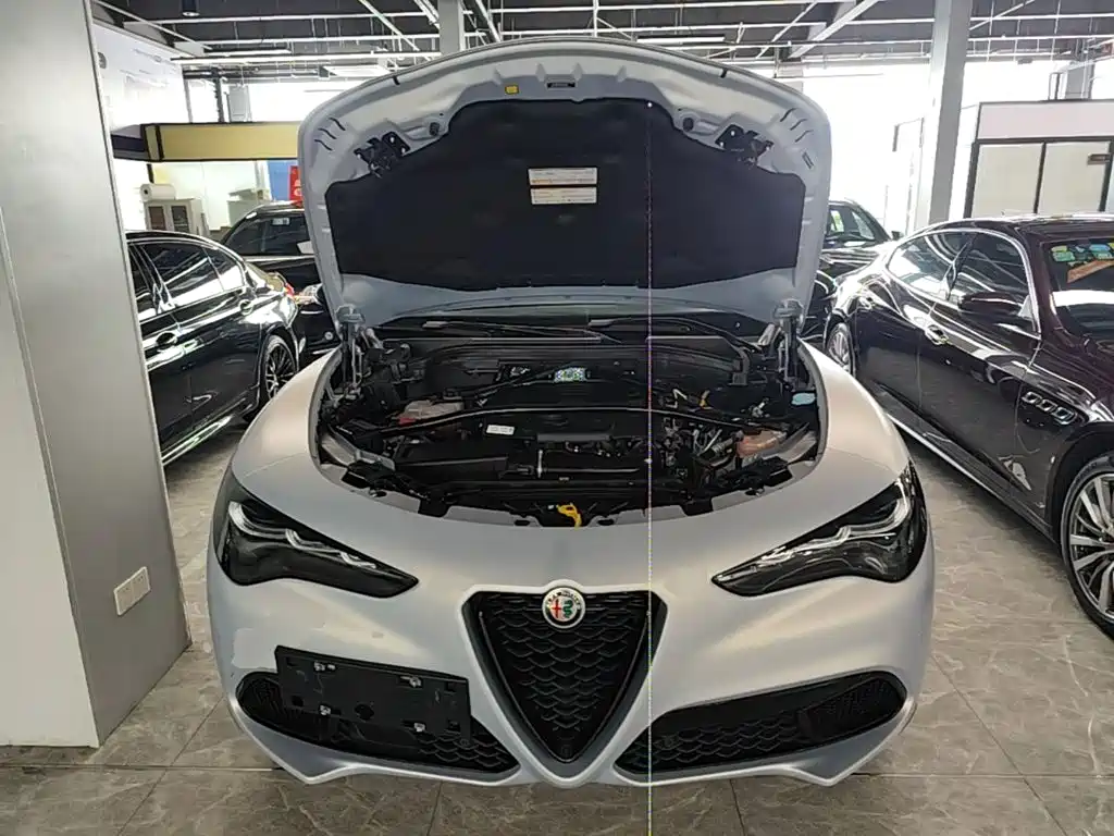 Alfa Romeo Stelvio — фото 20