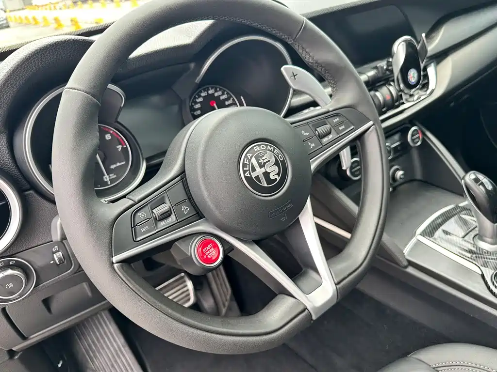 Alfa Romeo Stelvio — фото 19