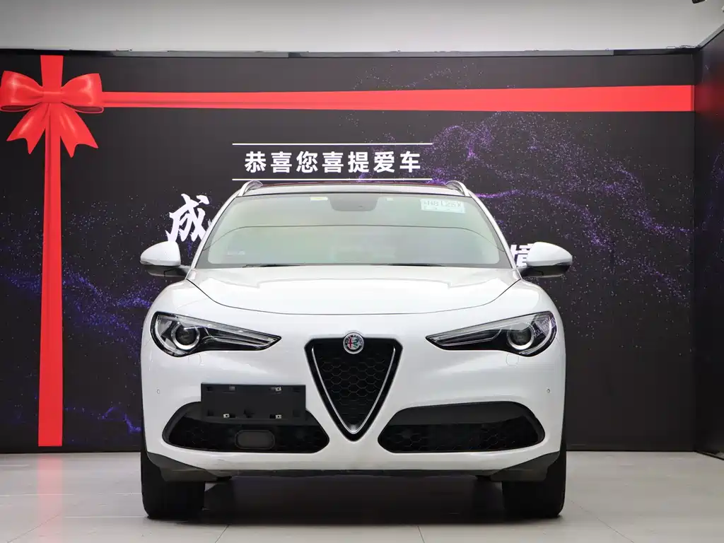 Alfa Romeo Stelvio — фото 2