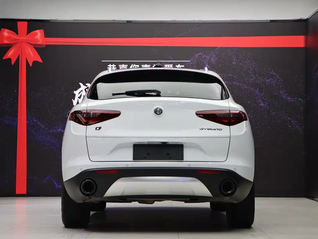 Alfa Romeo Stelvio — фото 5