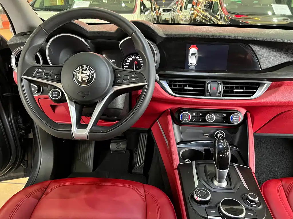 Alfa Romeo Stelvio — фото 14