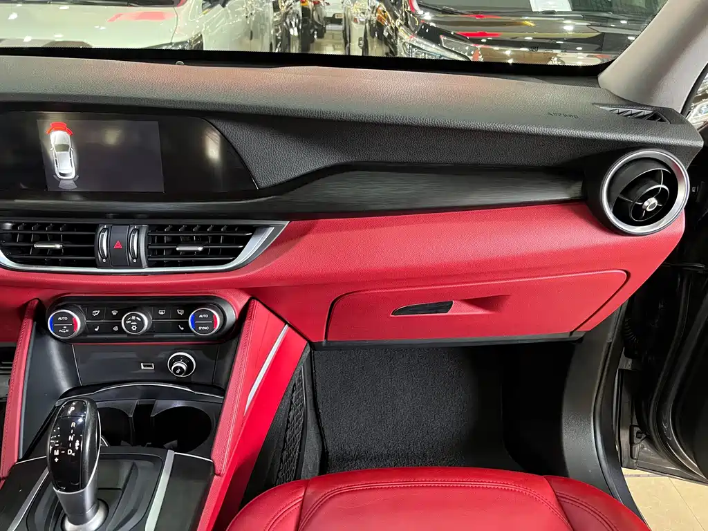 Alfa Romeo Stelvio — фото 15