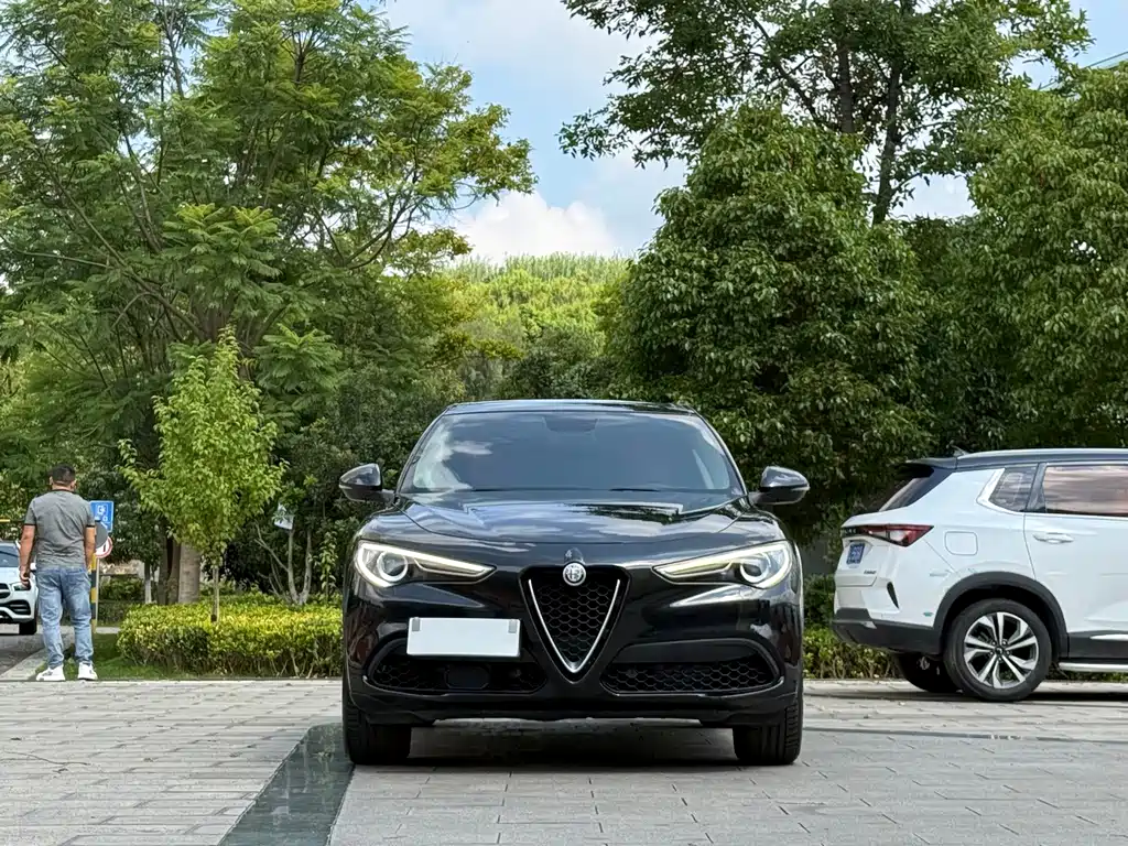 Alfa Romeo Stelvio — фото 2