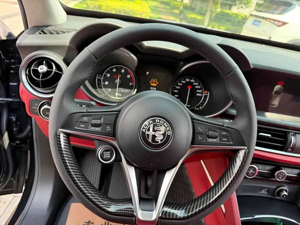 Alfa Romeo Stelvio — фото 23