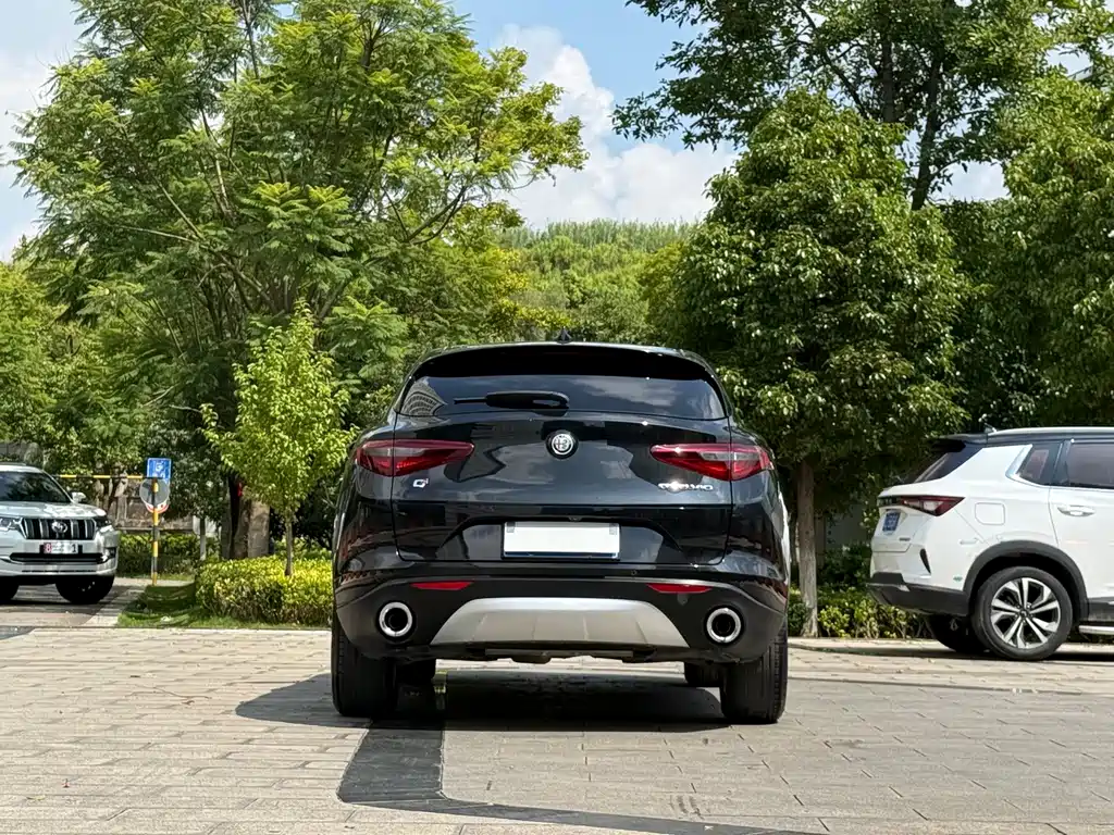 Alfa Romeo Stelvio — фото 8