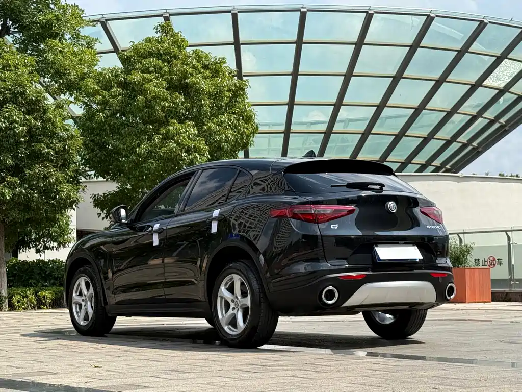 Alfa Romeo Stelvio — фото 9