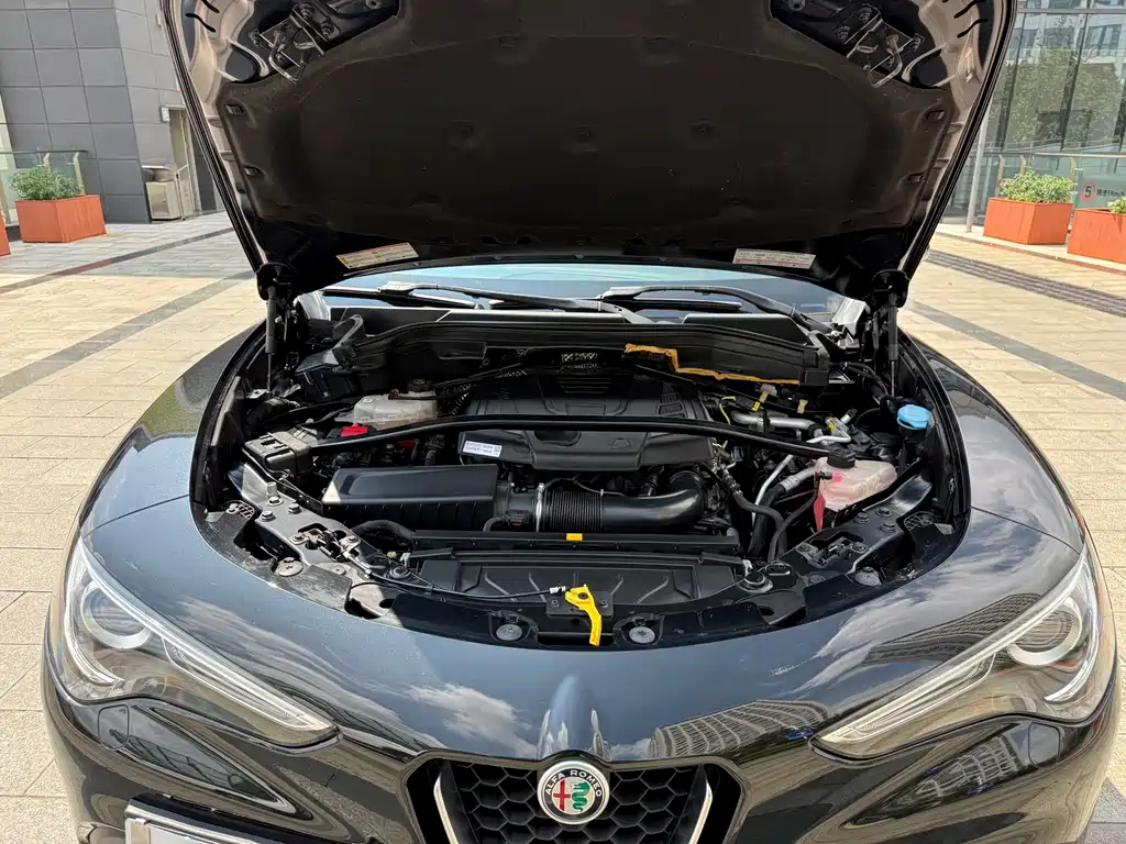 Alfa Romeo Stelvio — фото 10