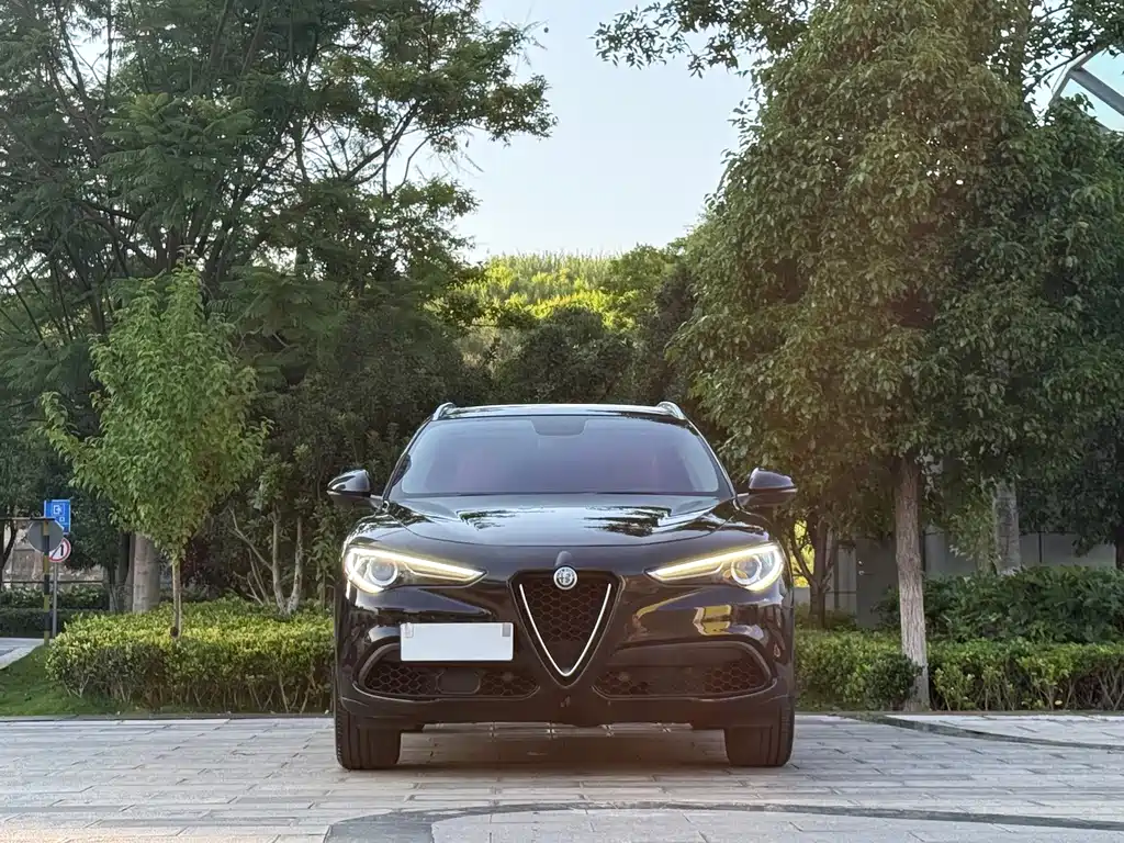 Alfa Romeo Stelvio — фото 2