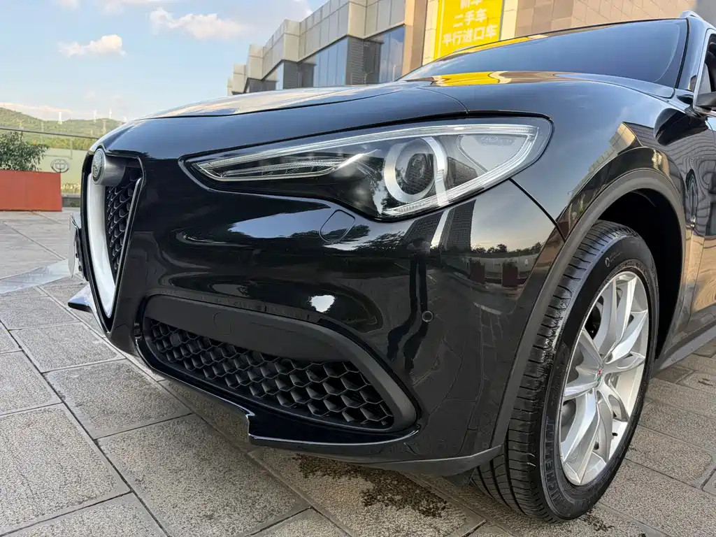 Alfa Romeo Stelvio — фото 13